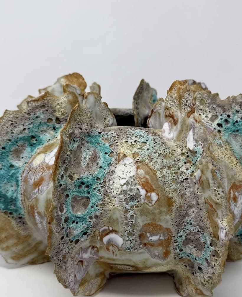 Sea Urchin — view 1